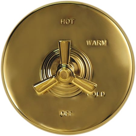 Newport Brass Widespread Spout Assembly in Forever Brass (Pvd) 3-347/01